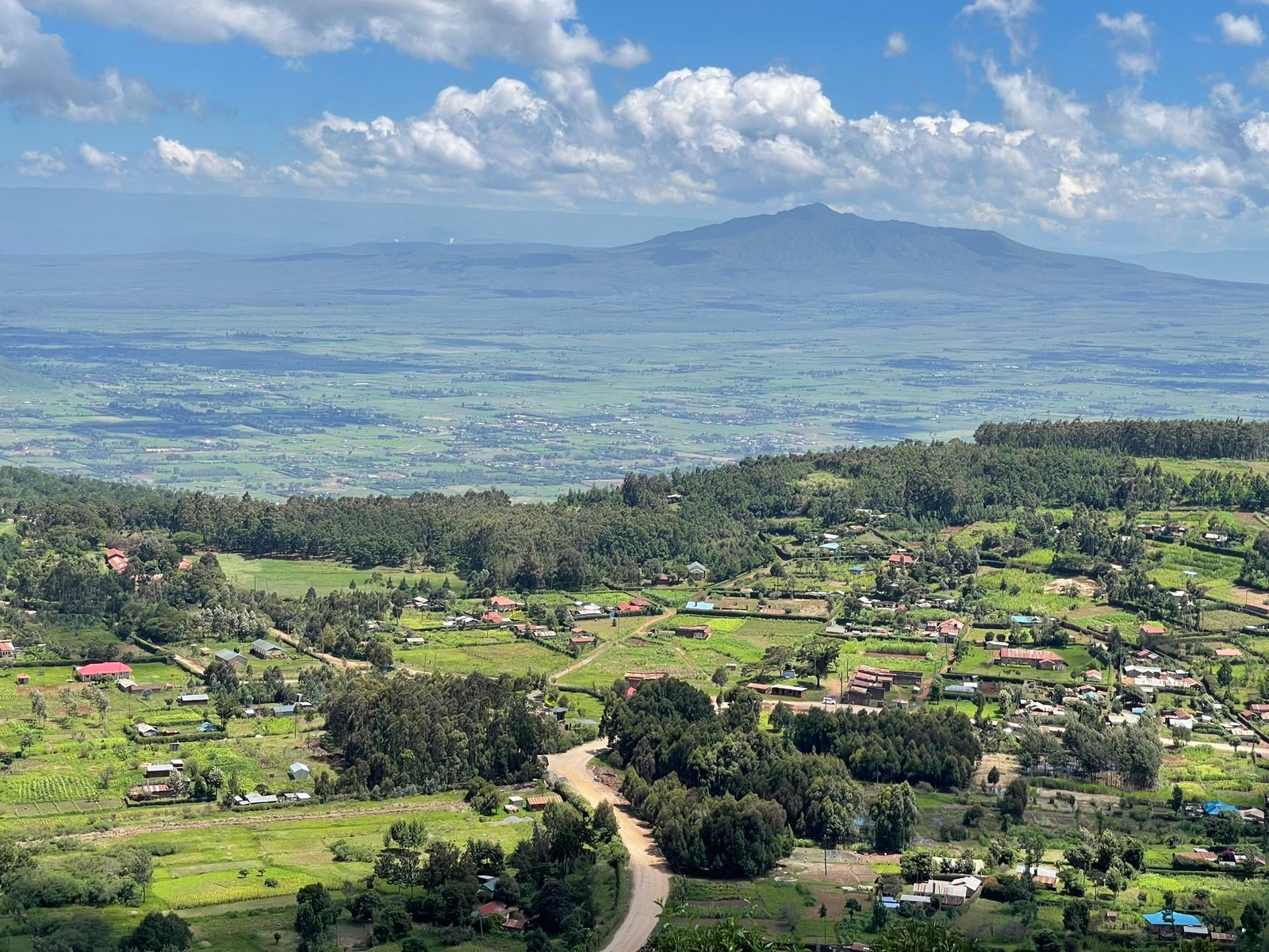 Safari photo 10