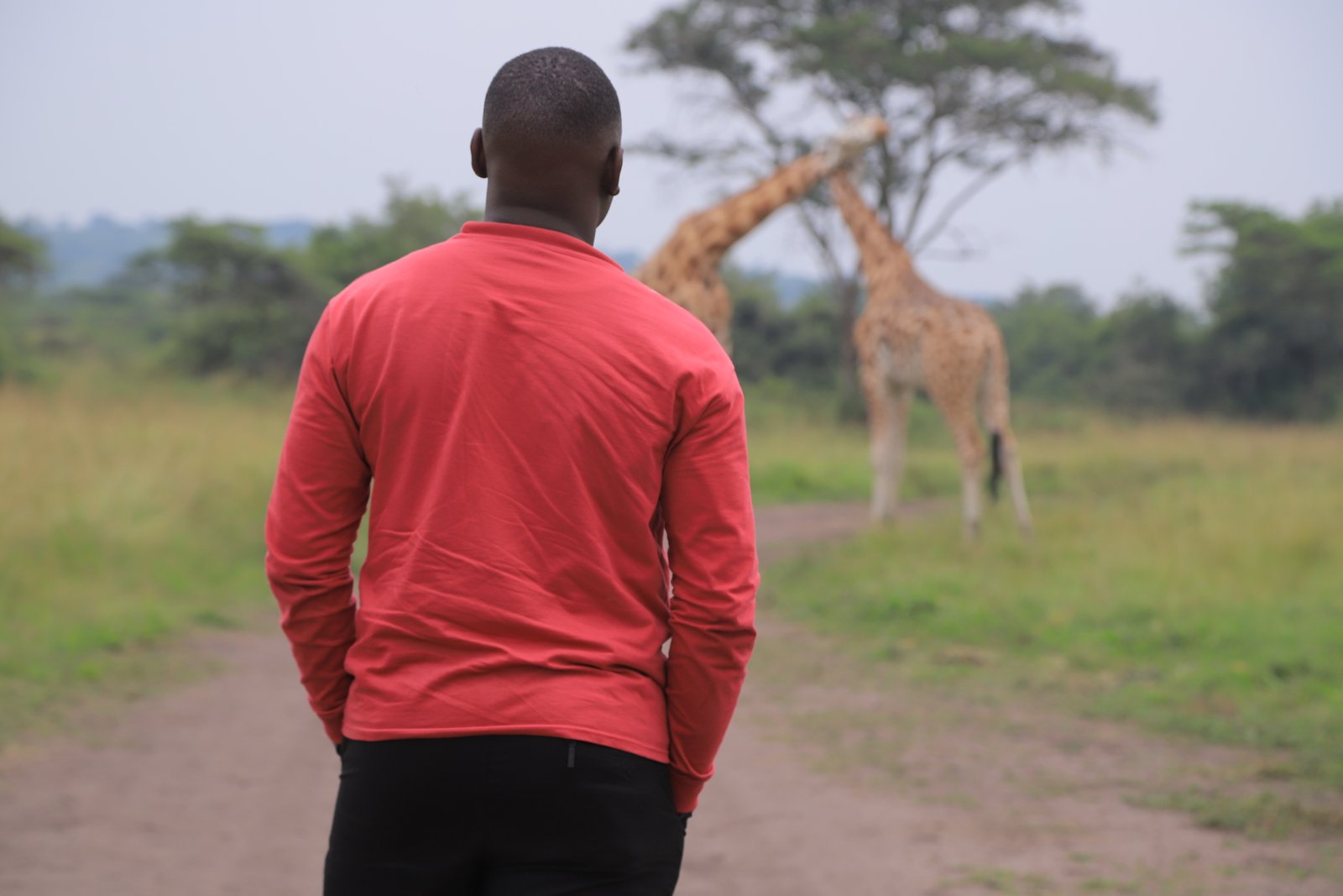 Safari photo 17