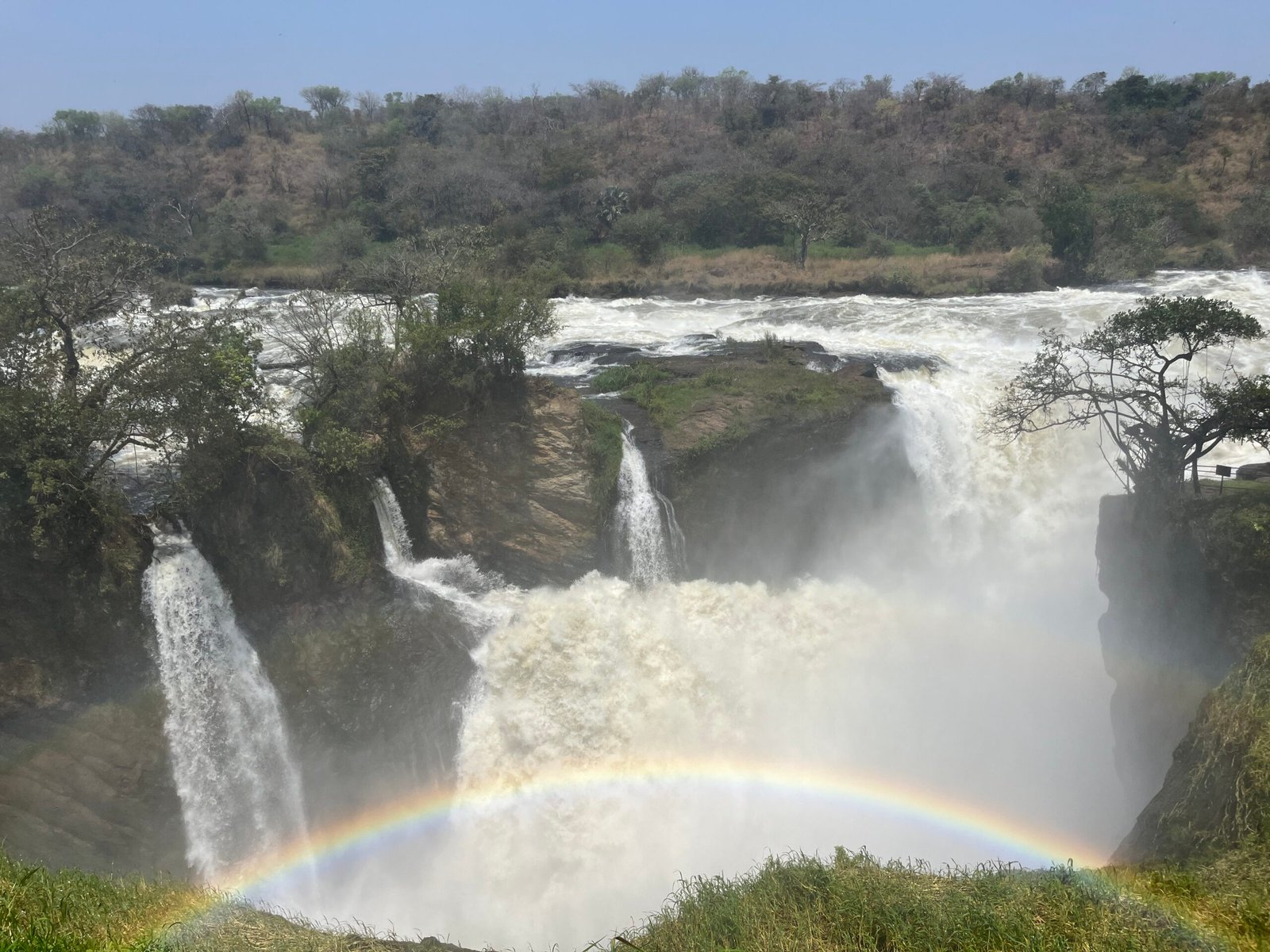 Safari photo 18
