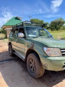 Murchison Falls